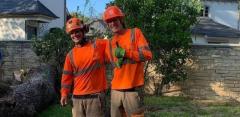 Expert Tree Trimming Services in San Angelo, Texas -The Tree Guys of West Texas