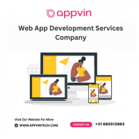 Web Application Development Services Company