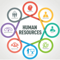 Revolutionize HR with Diligene - Your Trusted Human Resources Consulting Firm