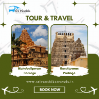 Travels in Chennai | Srivanshika Travels