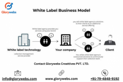 Take Your Brand to New Heights with Tailored White Label Solutions from Glorywebs Creatives