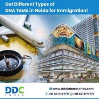 Role and Significance of DNA Tests in Noida for Immigration Purposes