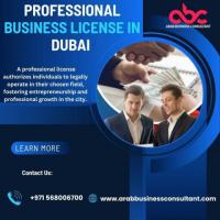 Professional Business License In Dubai 