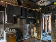 Mold inspection services near me | Hands & Hammers Restoration Services