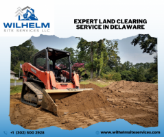 Need Clear Space? Expert Land Clearing Service in Delaware!