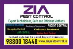 Bedbug Pest Control Service | Cockroach and Rodent Control |1817