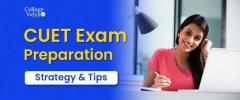 How to Prepare for the CUET 2024 Exam?: A Complete Guide