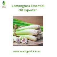 Lemongrass Essential Oil Exporter | SVA 