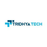 Transform Your Business with Tridhya Tech's MuleSoft Integration Services