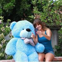 Trendy Cool Teddy Bears - Shop Now At Giant Teddy