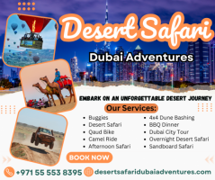 The Mesmerizing Art of the Tanoura Show Artist - Desert Safari Dubai Adventures / +971 55 553 8395