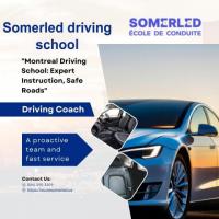 Sustainable Skills: Driving School Somerled Leads the Way
