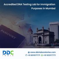 Navigating Immigration: The Role of DNA Tests in Mumbai