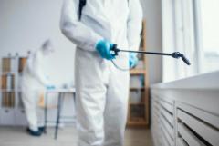 Comprehensive Pest Control Services in Adelaide Hills