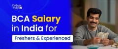 BCA Salary In India: Freshers, Experience, Per Month [Latest 2024]