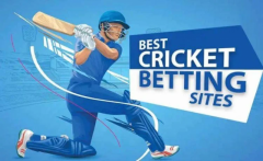 Elevate Your Wins: Live Cricket Betting Online