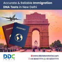 Accurate Immigration DNA Test in Jaipur - Meeting International Criteria with Precision!