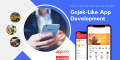 Gojek Like Super App Development