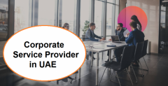 Corporate Service Provider in UAE 