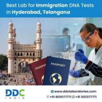 Get Accredited DNA Tests in Hyderabad to Prove Family Relationships for Immigration
