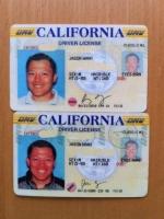 HOW TO EASILY BUY USA DRIVING LICENSE ONLINE 