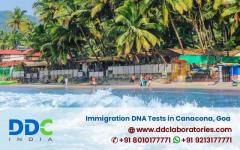 Everything to Know About Immigration DNA Tests in Goa