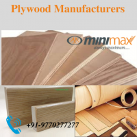 Top 10 Plywood Manufacturers	