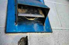 Brampton and GTA’s Reliable Dryer Vent Cleaning Service