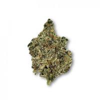 Discover Exotic THC Flower at Green Herbal Care!
