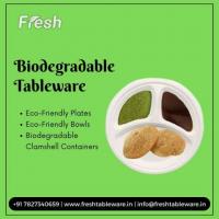 Eco-Friendly Biodegradable Tableware for Sustainable Events