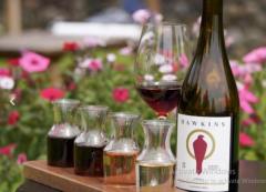 Explore Excellence: Washington State Wineries