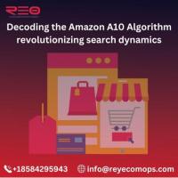 Decoding the Amazon A10 Algorithm revolutionizing search dynamics 