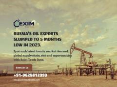 Russia Import export data | global import export data provider