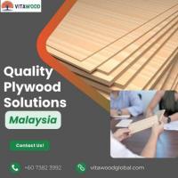 Superior Plywood Solutions in Malaysia | VitaWood Global