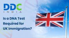 Get Affordable Immigration DNA Testing Services for UK