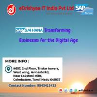 Enhance Your Career In SAP