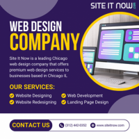 Web Design Company Chicago IL | Site It Now