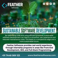 Sustainable Software Development: