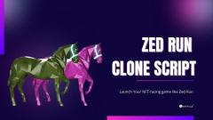 Zed run clone script - Launch NFT game like Zed Run 