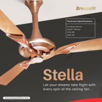 Elevate Your Home with Breezalit's Decorative Ceiling Fans