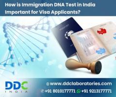 Get the Best DNA Testing for Ancestry at DDC Laboratories India
