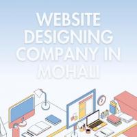 Website Designing Company in Mohali