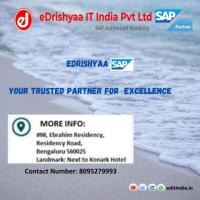 E- Drishya It India Pvt ltd From Sap Authorized Academy 