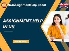 Assignment Help UK - Hire an Expert from No1AssignmentHelp
